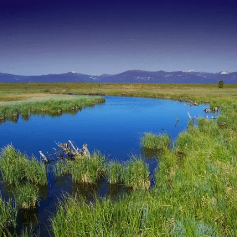 lake behind green landscape area